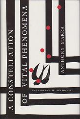 A Constellation of Vital Phenomena by Anthony  Marra